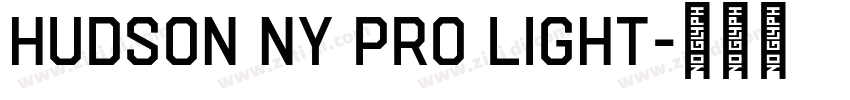 Hudson NY Pro Light字体转换
